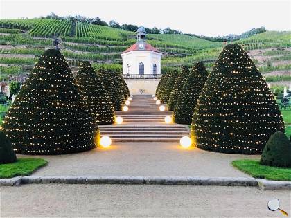 Beleuchtung eines Weinberges 